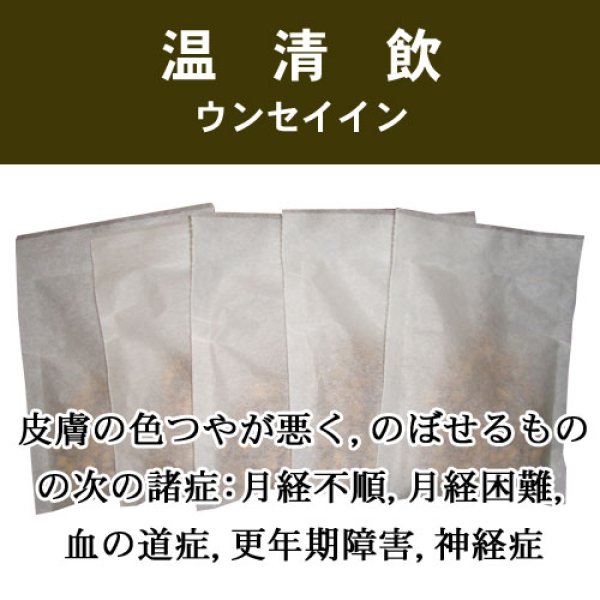 画像1: 温清飲（ウンセイイン） (1)