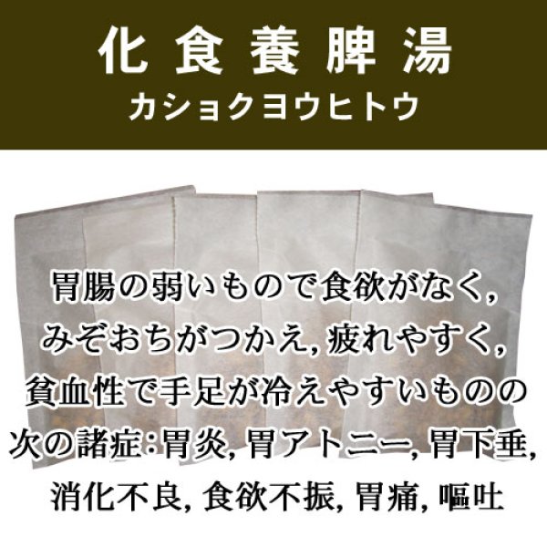 画像1: 化食養脾湯（カショクヨウヒトウ） (1)