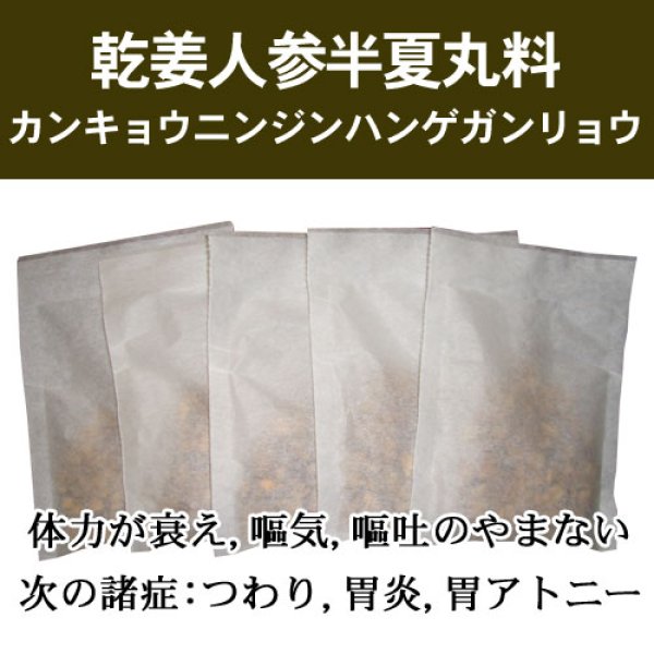 画像1: 乾姜人参半夏丸料（カンキョウニンジンハンゲガンリョウ） (1)