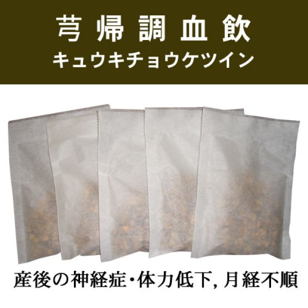 画像1: 芎帰調血飲（キュウキチョウケツイン） (1)