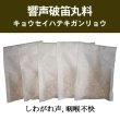 画像1: 響声破笛丸料（キョウセイハテキガンリョウ） (1)