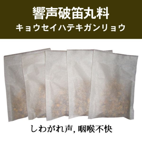 画像1: 響声破笛丸料（キョウセイハテキガンリョウ） (1)