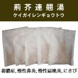 画像1: 荊芥連翹湯（ケイガイレンギョウトウ） (1)