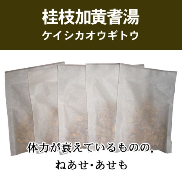 画像1: 桂枝加黄耆湯（ケイシカオウギトウ） (1)