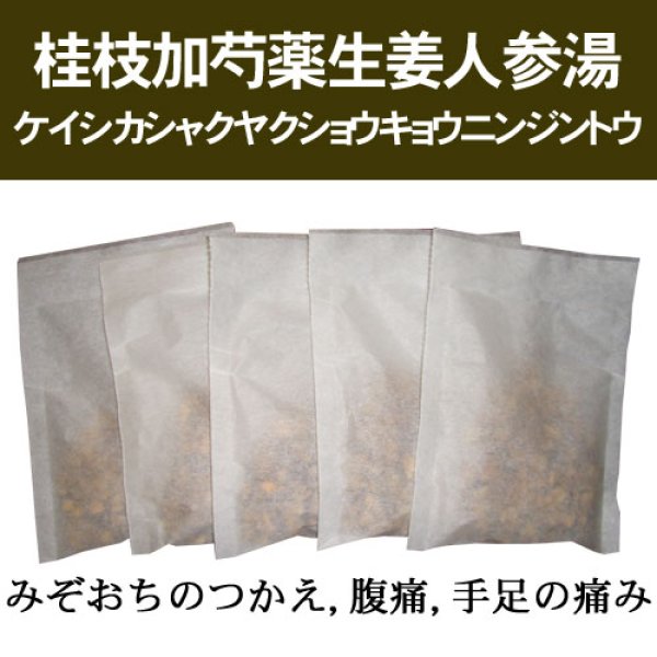 画像1: 桂枝加芍薬生姜人参湯（ケイシカシャクヤクショウキョウニンジントウ） (1)