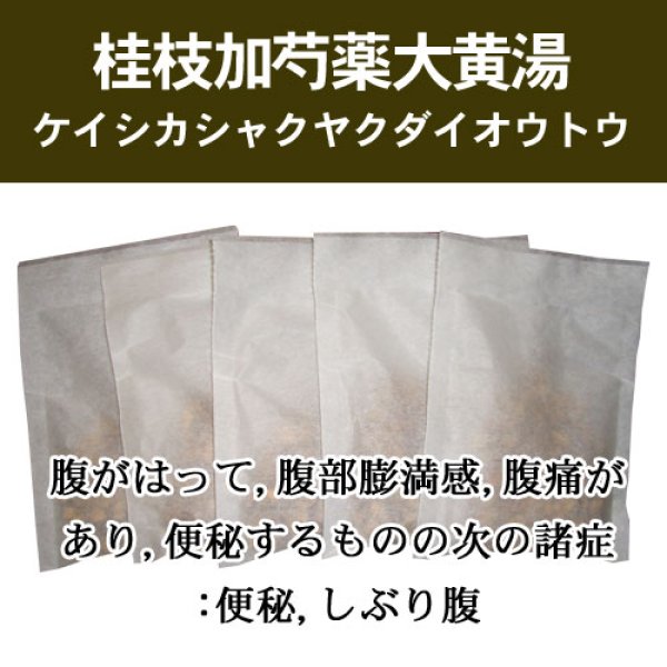 画像1: 桂枝加芍薬大黄湯（ケイシカシャクヤクダイオウトウ） (1)