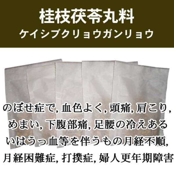 画像1: 桂枝茯苓丸料（ケイシブクリョウガンリョウ） (1)