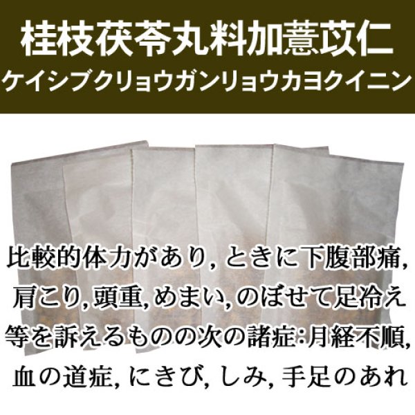 画像1: 桂枝茯苓丸料加薏苡仁（ケイシブクリョウガンリョウカヨクイニン） (1)