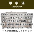 画像1: 甲字湯（コウジトウ） (1)