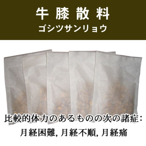 画像1: 牛膝散料（ゴシツサンリョウ） (1)