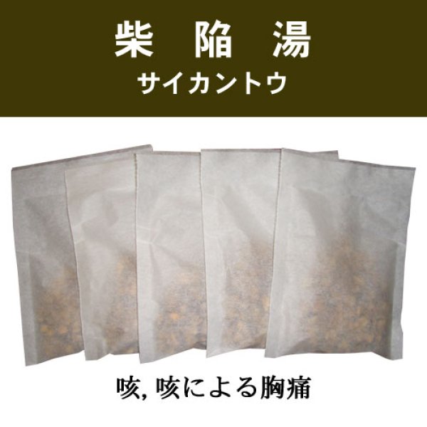 画像1: 柴陥湯（サイカントウ） (1)