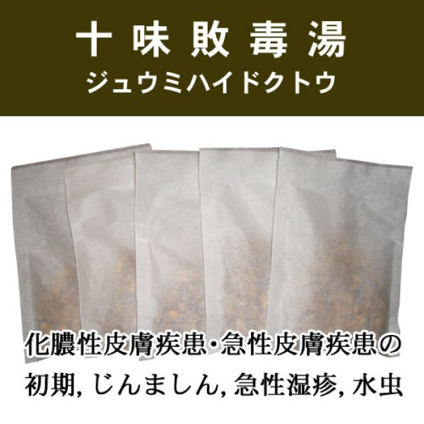 画像1: 十味敗毒湯（ジュウミハイドクトウ） (1)