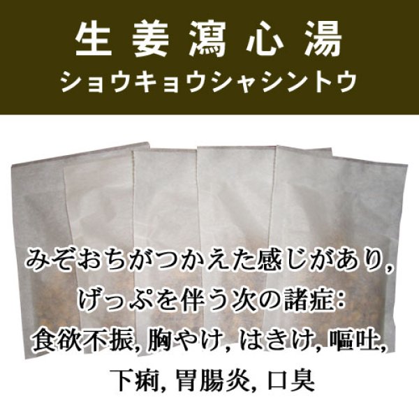画像1: 生姜瀉心湯（ショウキョウシャシントウ） (1)