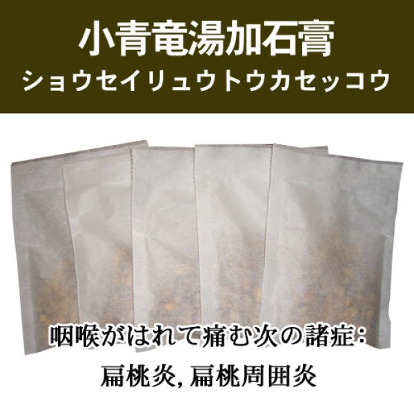画像1: 小青竜湯加石膏（ショウセイリュウトウカセッコウ） (1)