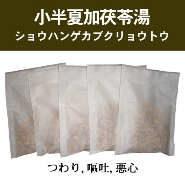 画像1: 小半夏加茯苓湯（ショウハンゲカブクリョウトウ） (1)