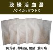 画像1: 疎経活血湯（ソケイカッケツトウ） (1)