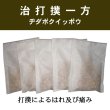 画像1: 治打撲一方（ヂダボクイッポウ） (1)