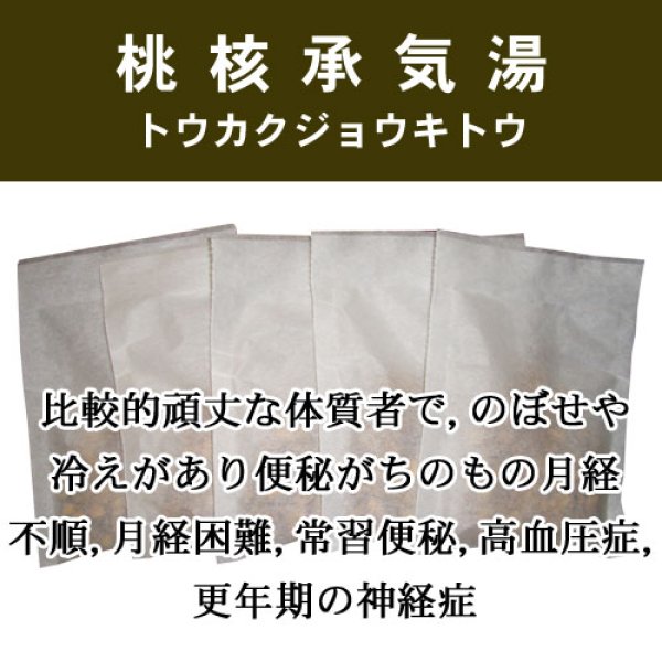 画像1: 桃核承気湯（トウカクジョウキトウ） (1)