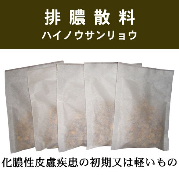 画像1: 排膿散料（ハイノウサンリョウ） (1)
