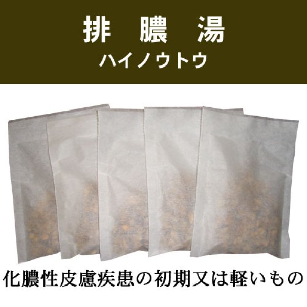 画像1: 排膿湯（ハイノウトウ） (1)