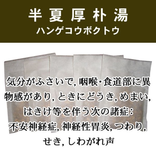 画像1: 半夏厚朴湯（ハンゲコウボクトウ） (1)