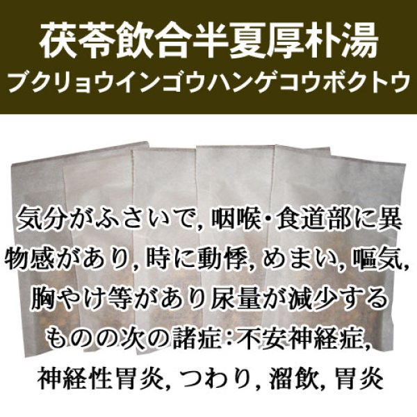 画像1: 茯苓飲合半夏厚朴湯（ブクリョウインゴウハンゲコウボクトウ） (1)