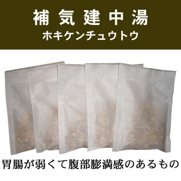 画像1: 補気建中湯（ホキケンチュウトウ） (1)