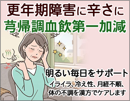 芎帰調血飲第一加減(キュウキチョウケツインダイイチカゲン)